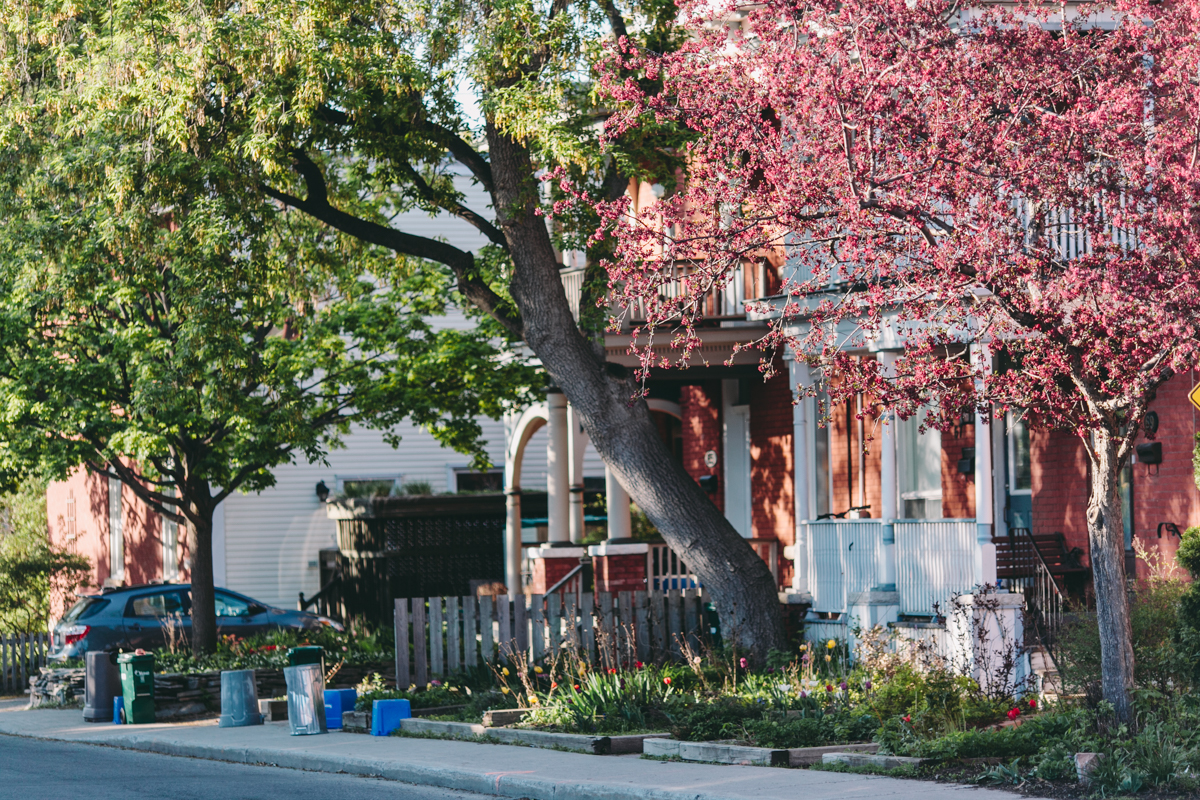 Ottawa-Neighbourhood-Photography-Business-Photography-Ottawa-Rich-Media-Architects-3